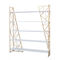 5 Storey Metal Purse Display Shelves , Retail Shoe Display Stands Any Color Available supplier
